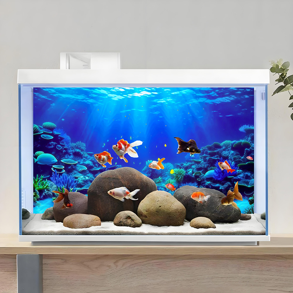 Mercan Cenneti, Balık Tankı Ar - Aquarium Fish Paradise incelemesi ve fiyatı