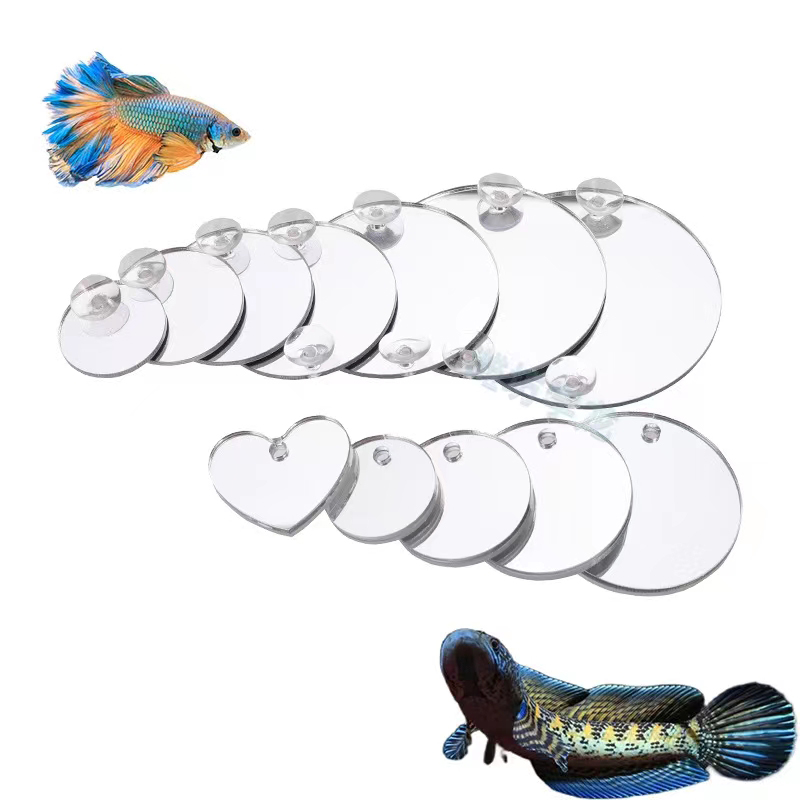 Akvaryum Betta Ayna Balık Tank - Aquarium Fish Escape incelemesi ve fiyatı