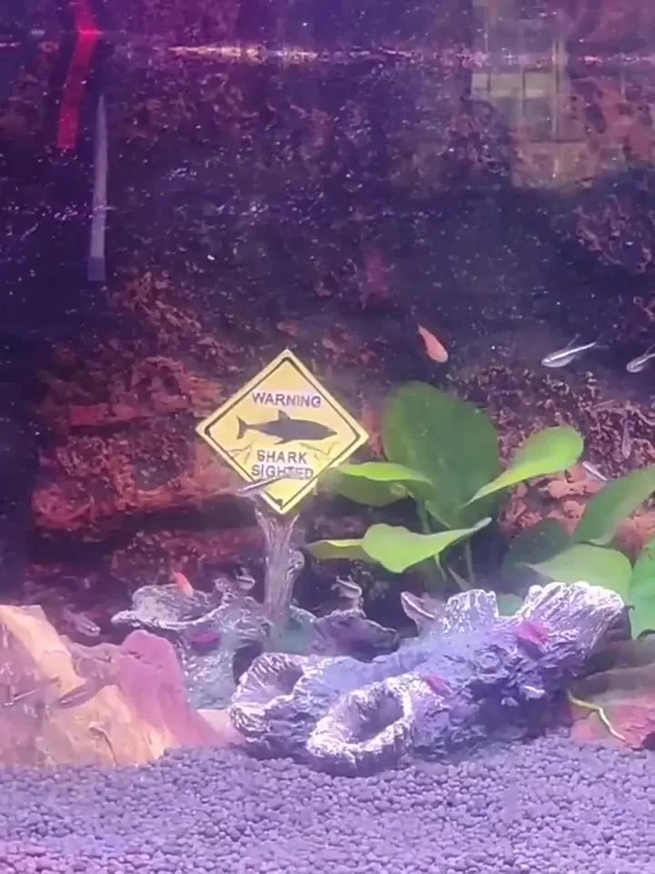 Reçine Akvaryum Dekoratif Süsl - Aquarium Fish Shark incelemesi ve fiyatı